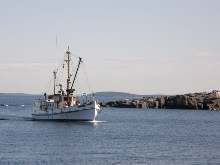 Ship Coming to Port