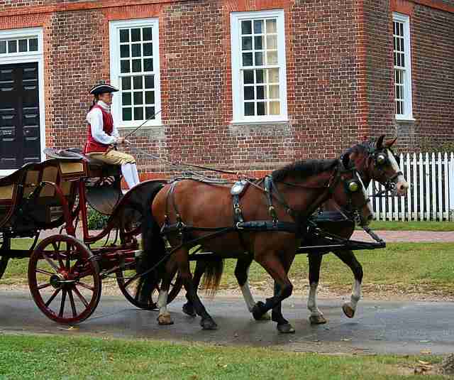 Williamsburg, Virginia horses