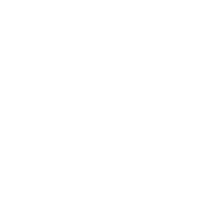 Bailey House Logo